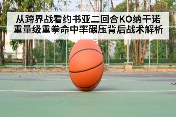 从跨界战看约书亚二回合KO纳干诺 重量级重拳命中率碾压背后战术解析
