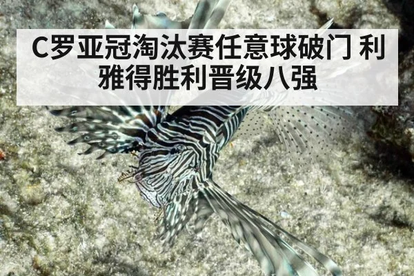 C罗亚冠淘汰赛任意球破门 利雅得胜利晋级八强